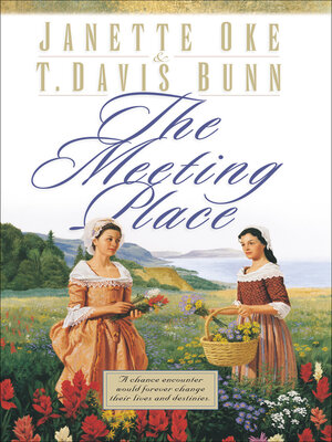 The Meeting Place - ebook